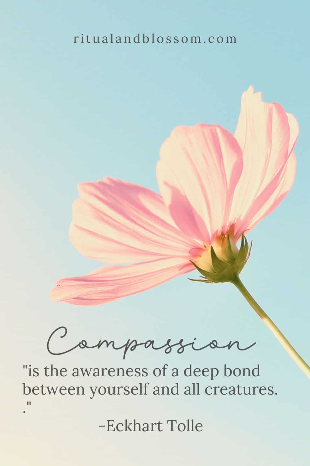 Cultivating Compassion The Key To Empathy And Self Care